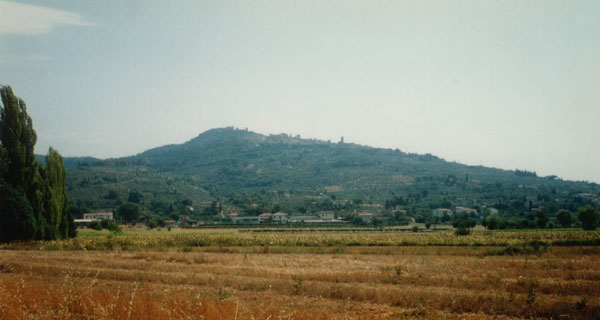 Fields below Cortona