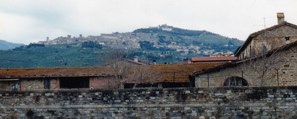 Cortona