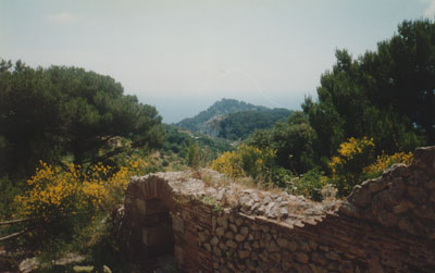 Hadrian's Villa