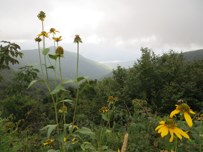 Blue Ridge Parkway