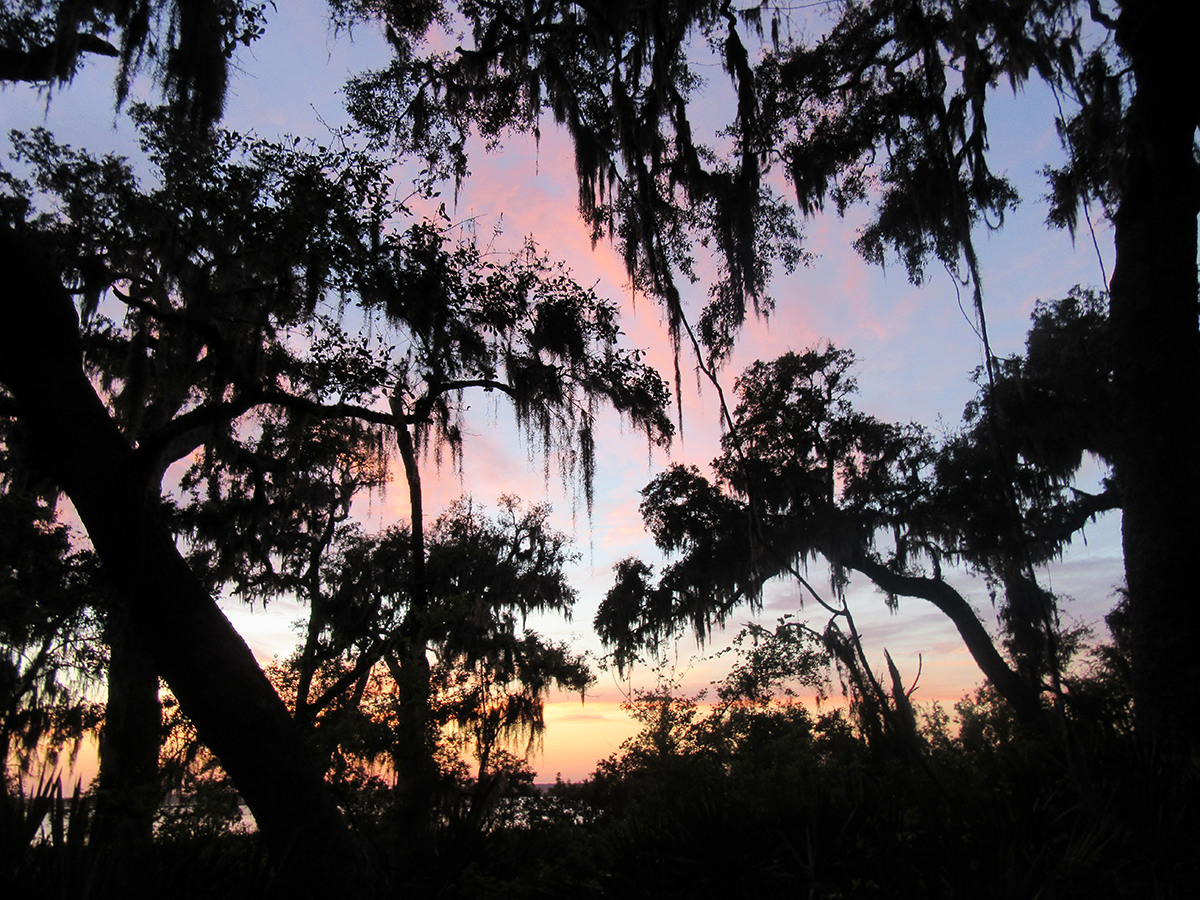 Cumberland Island laser show