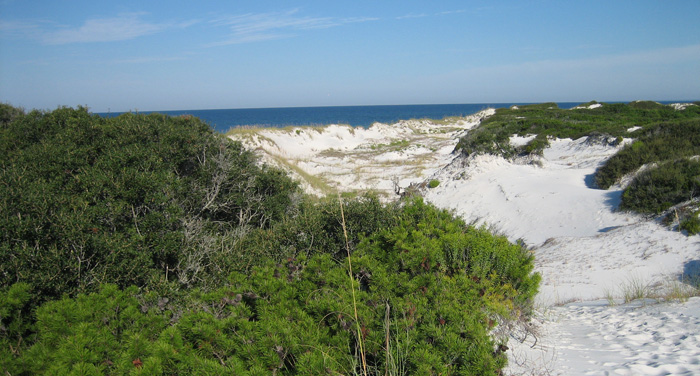 Gulf of Mexico