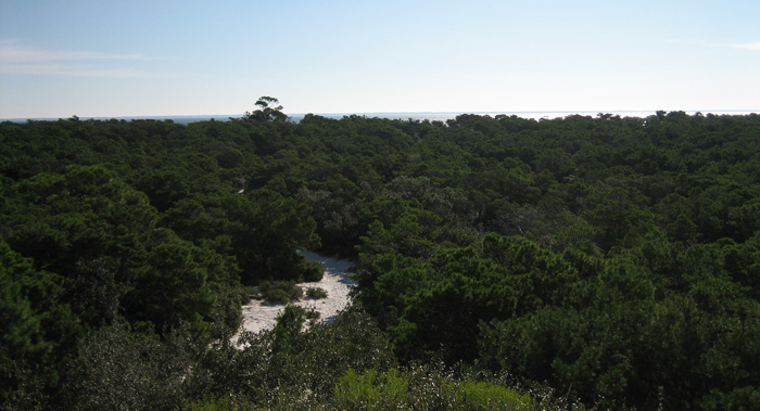bay