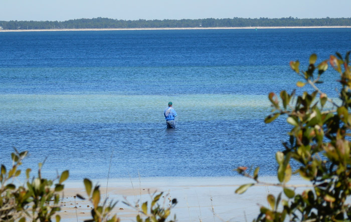 Port St. Joseph Peninsula