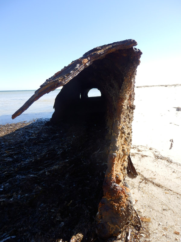 Port St. Joseph Peninsula