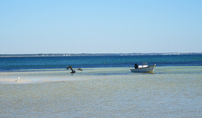 Port St. Joseph Peninsula