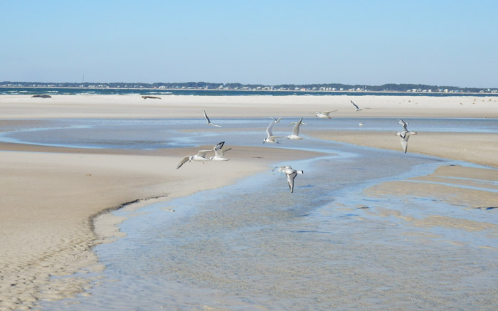 Port St. Joseph Peninsula