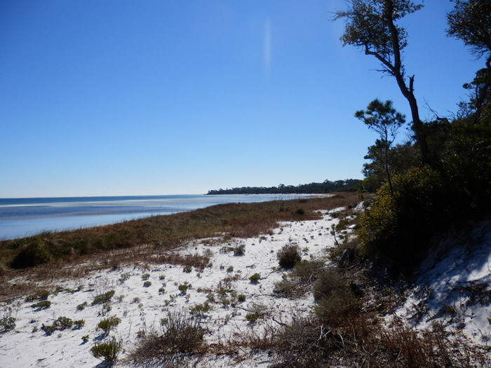 Port St. Joseph Peninsula