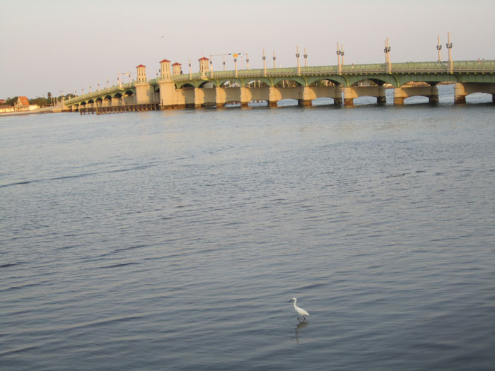 Bridge of Lions