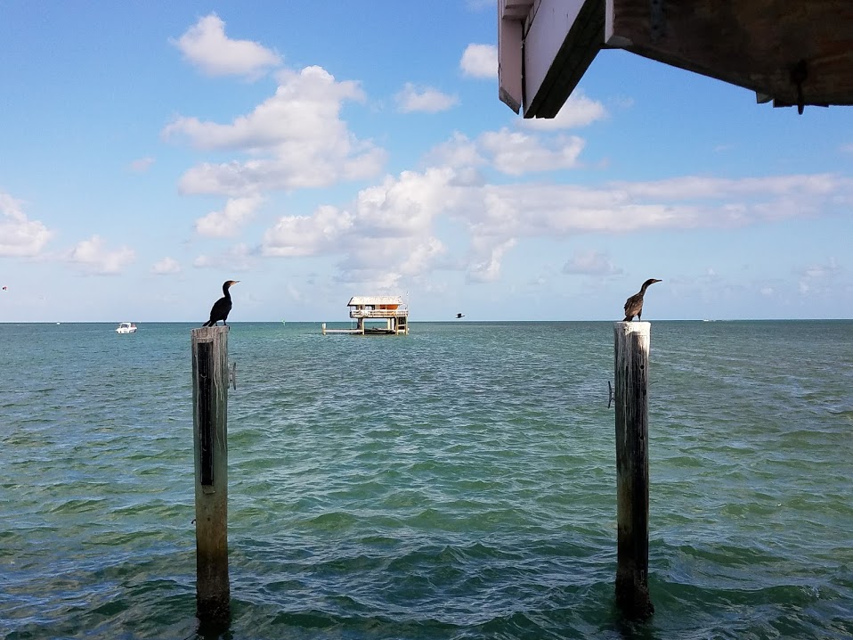 Stiltsville