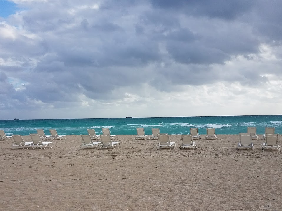 cold, windy weekday at the beach