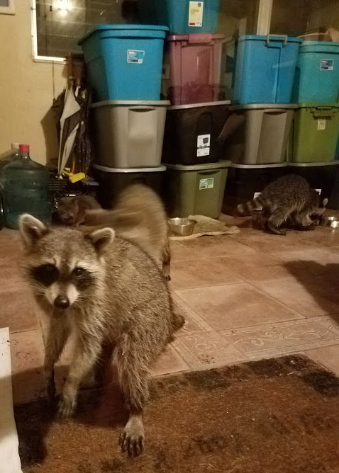 one of these things is not like the others