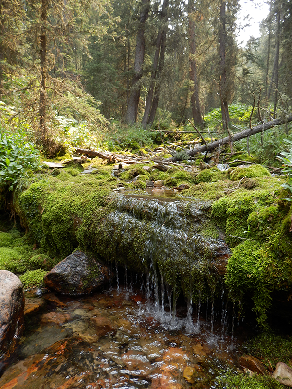 Indian Creek Trail