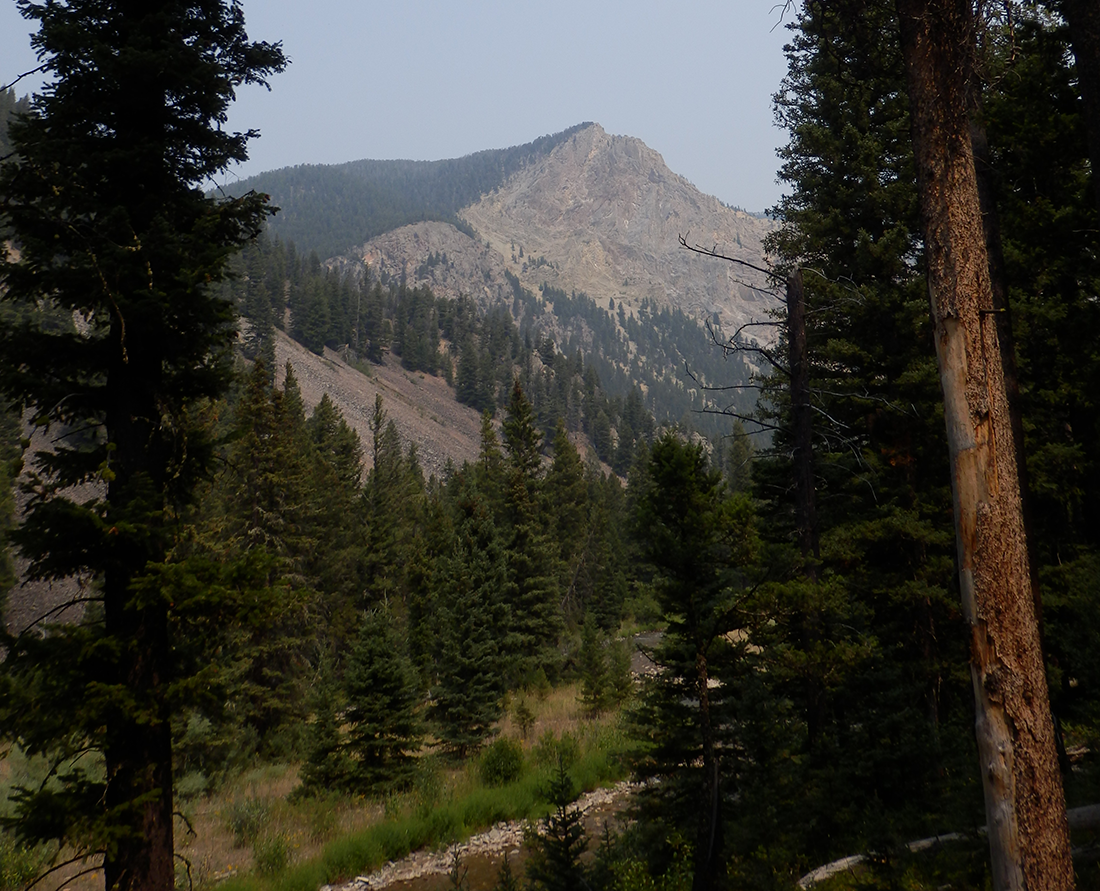 Indian Creek Trail