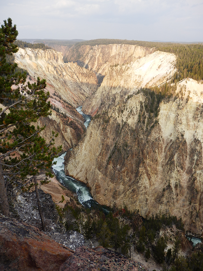 Grand Canyon of Yellowstone