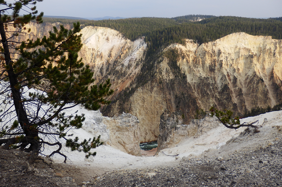 Grand Canyon of Yellowstone