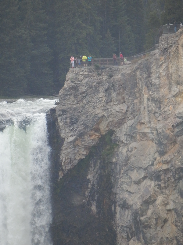 Yellowstone Lower Falls