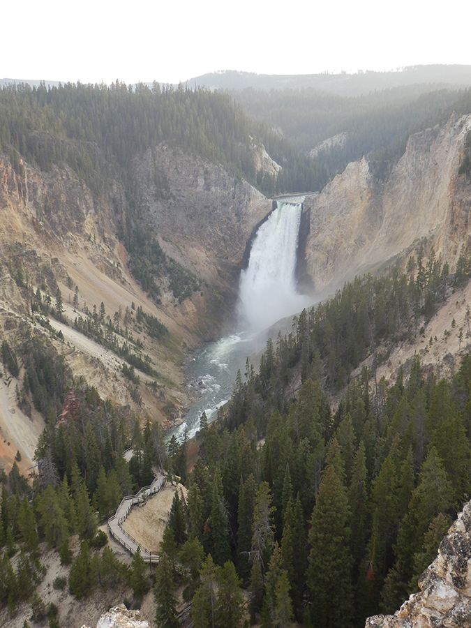 Yellowstone Lower Falls