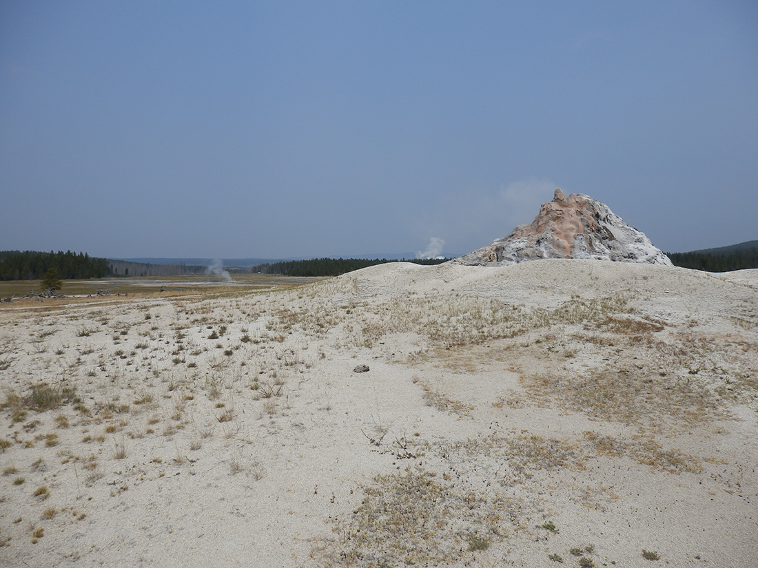 geyser at Yellowstone