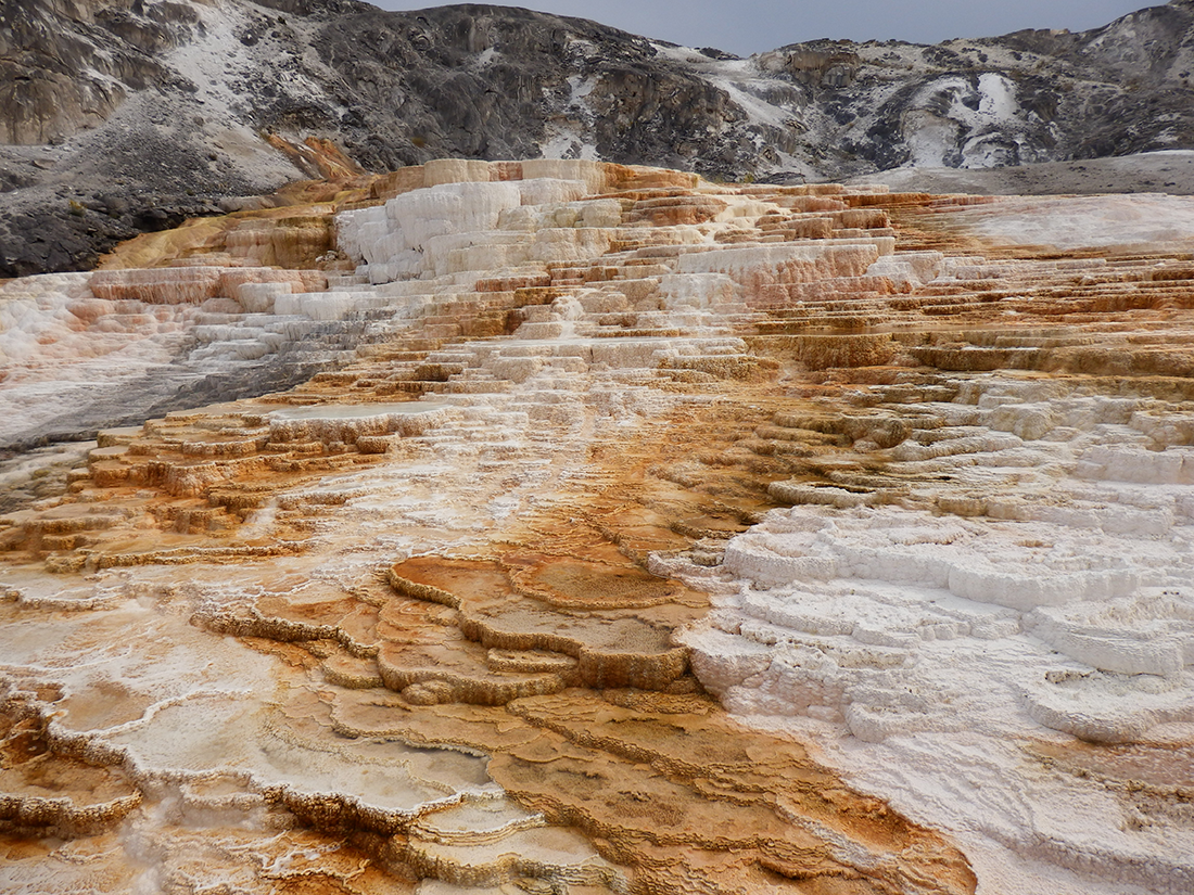 Mammoth Hot Springs