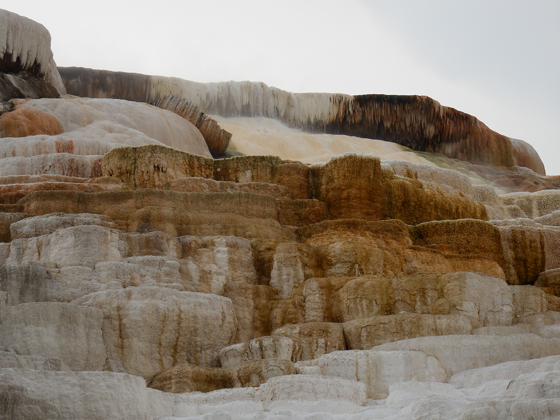 Mammoth Hot Springs