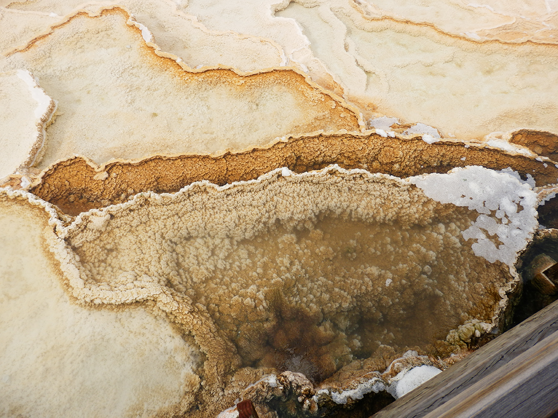 Mammoth Hot Springs