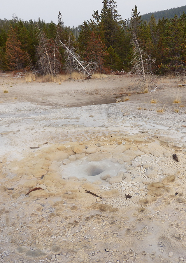 Norris Geyser Basin