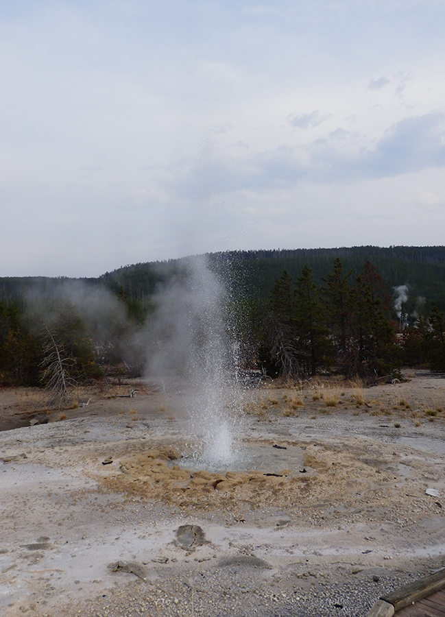 Norris Geyser Basin