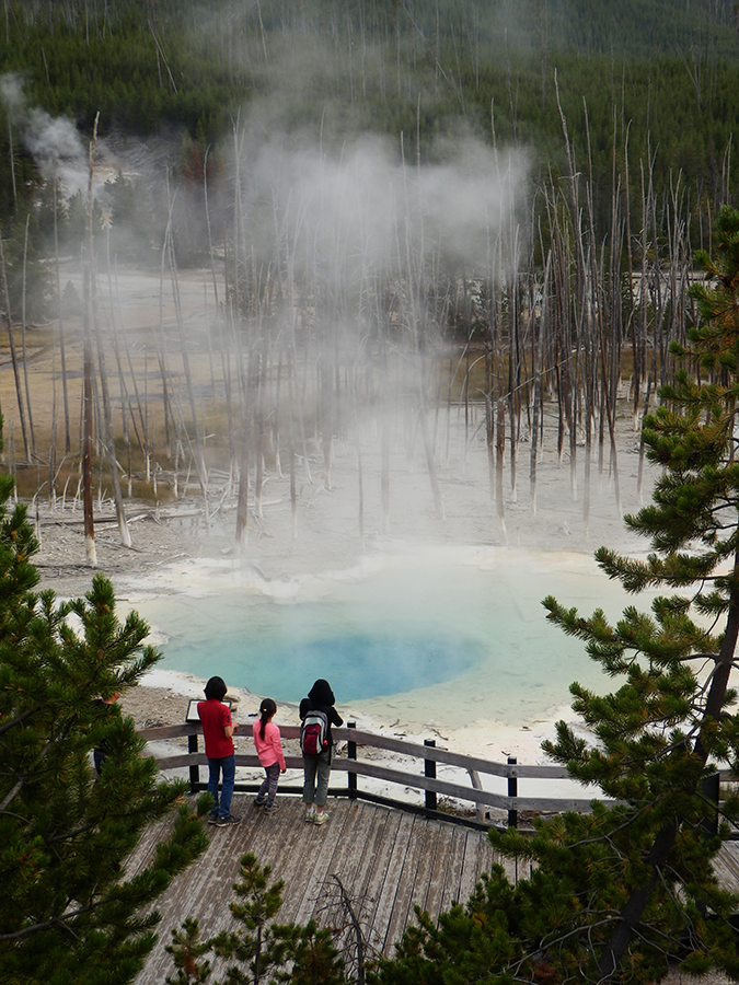 Norris Geyser Basin