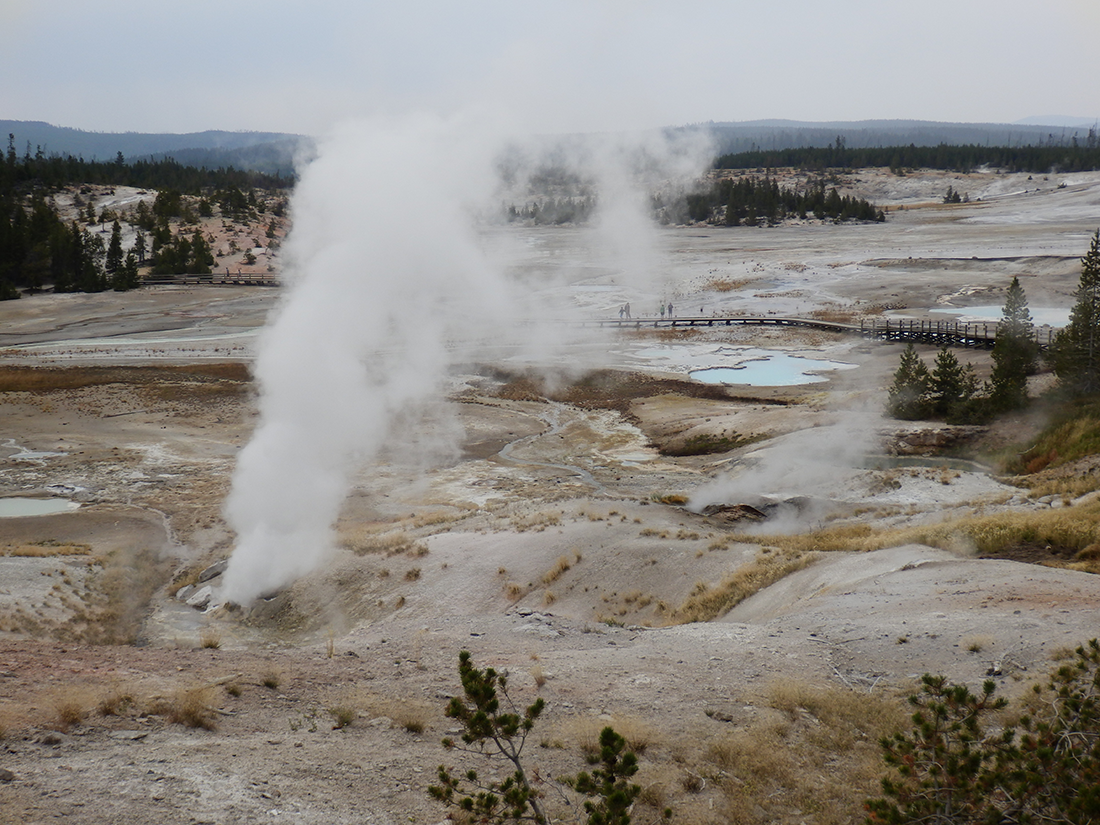 Norris Geyser Basin