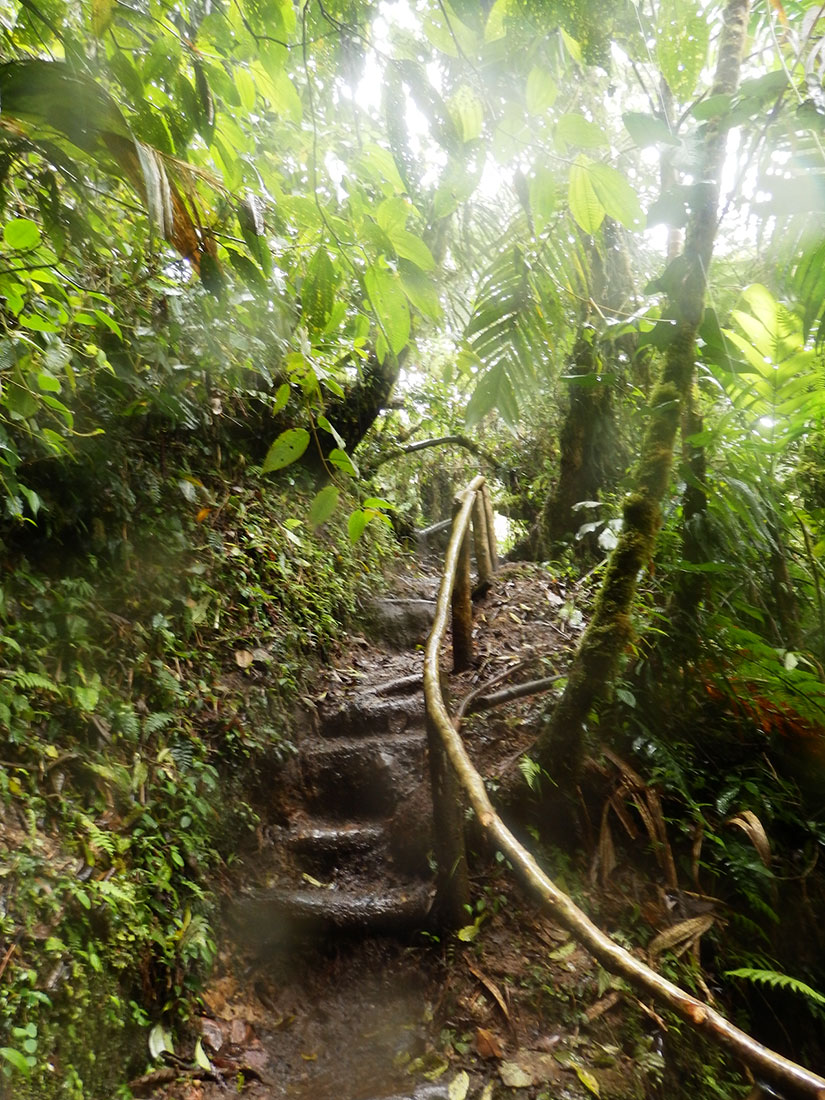 Three Falls Trail