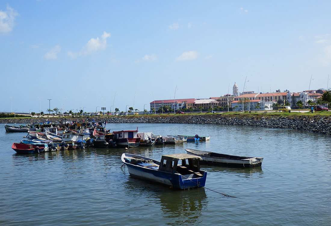Panama fish market view