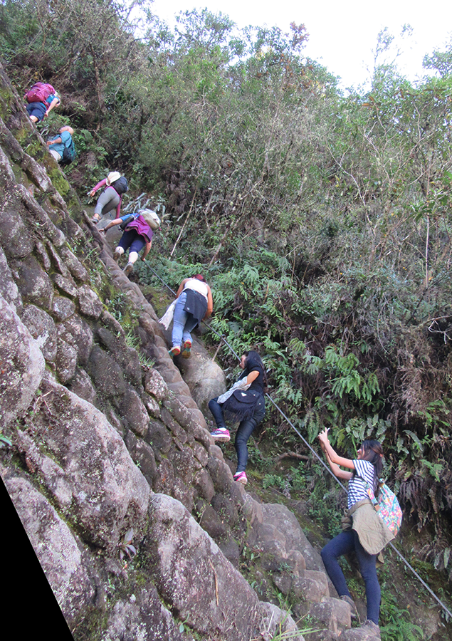 Huayna Picchu