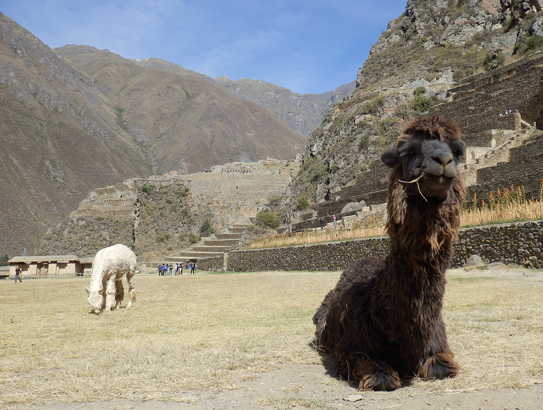 Ollantaytambo