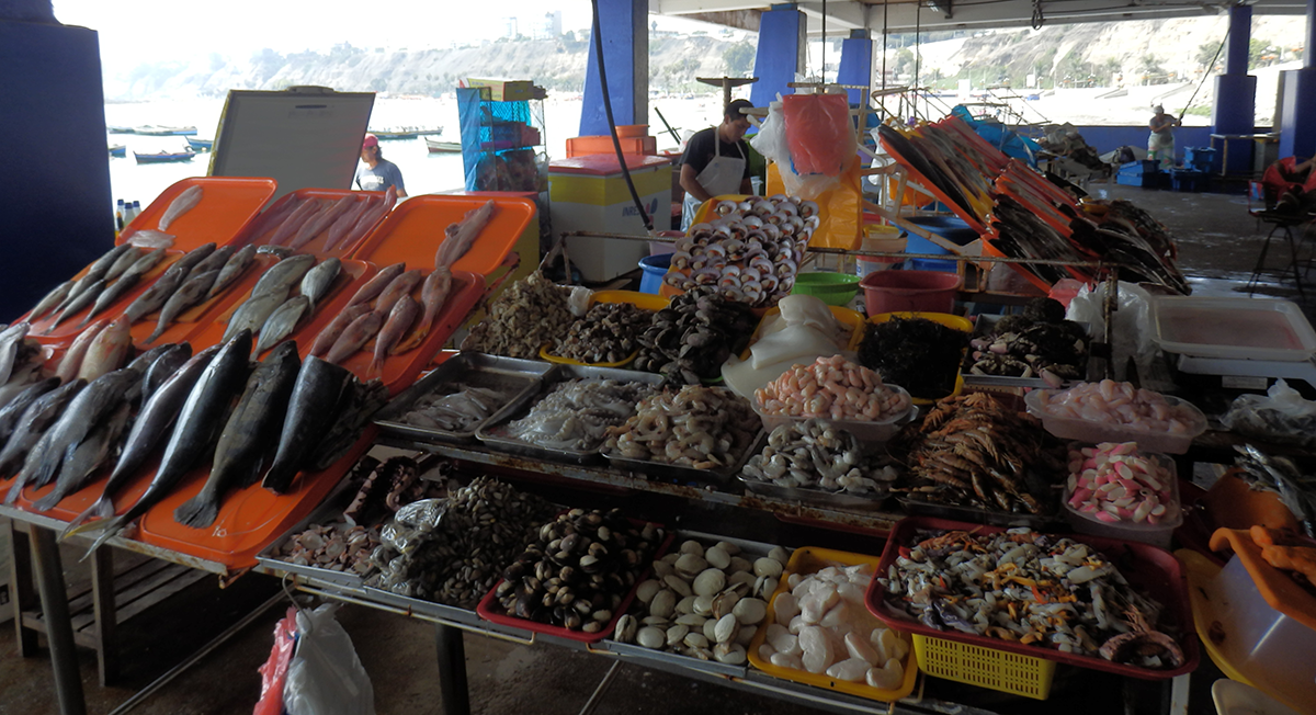 Lima Fisherman's Wharf