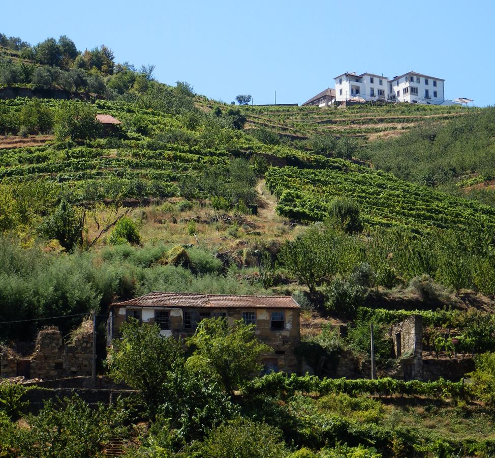 Duoro houses