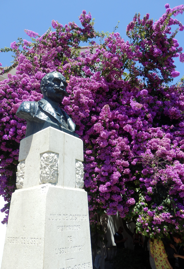 Alfama flowers