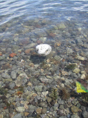 floating rock