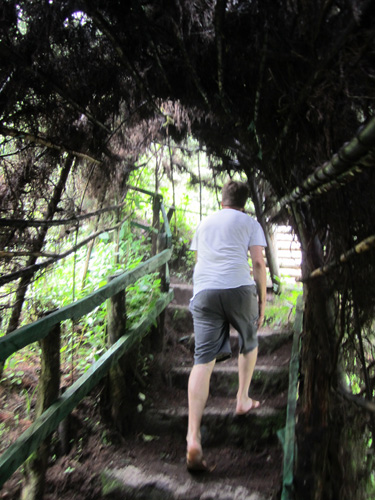 topiary trail