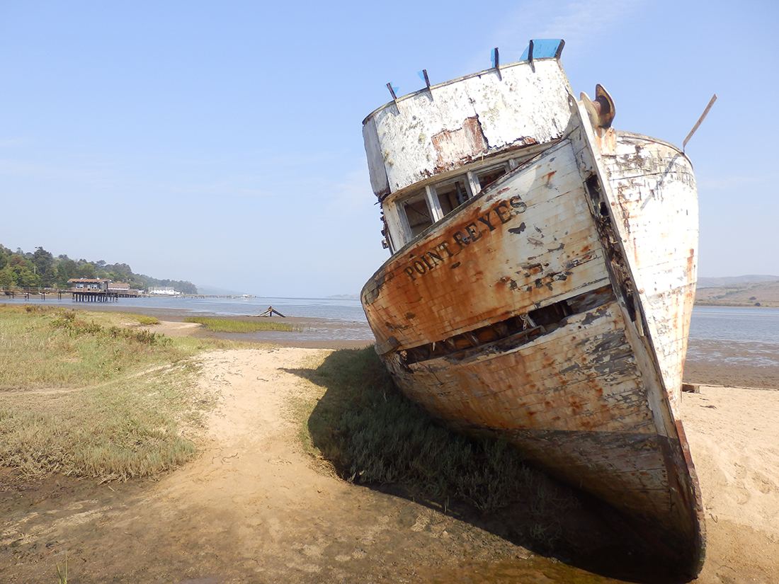 Tomales Bay