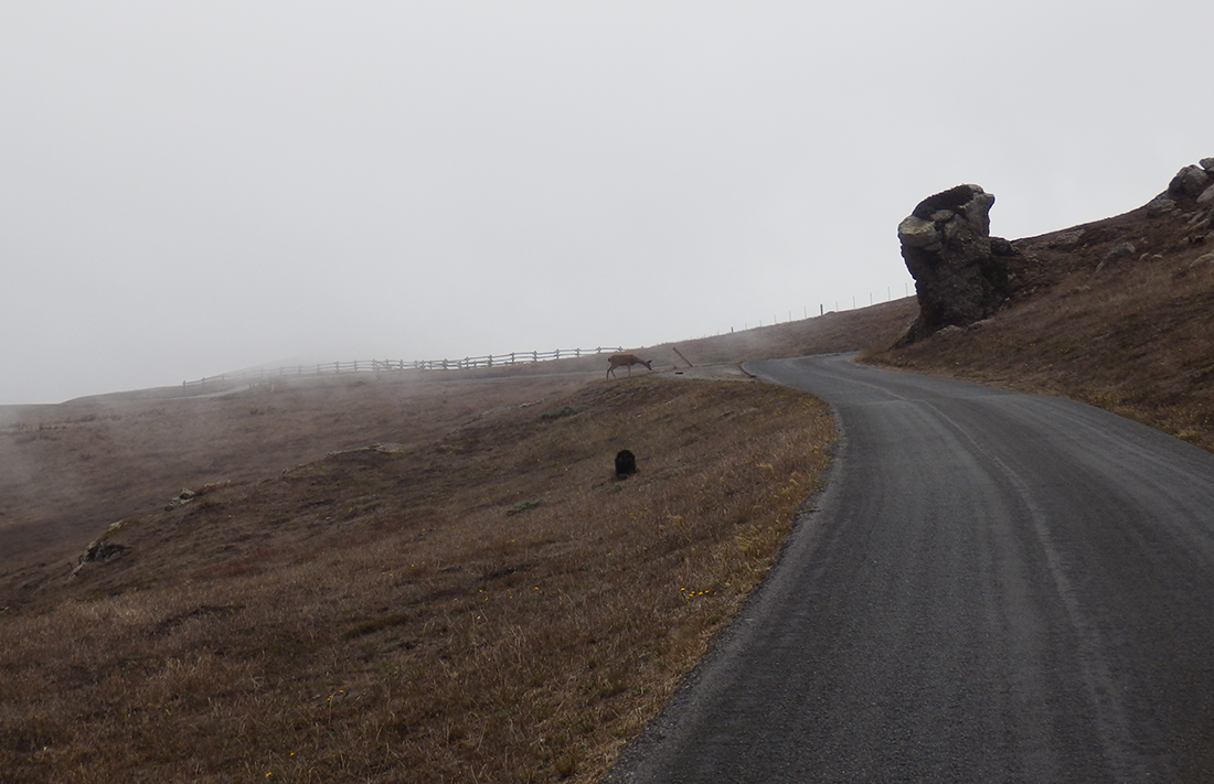 Point Reyes