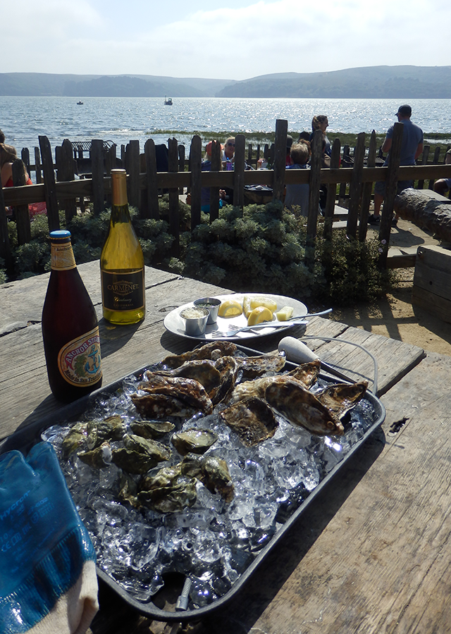 Tomale Bay, Hog Island oysters