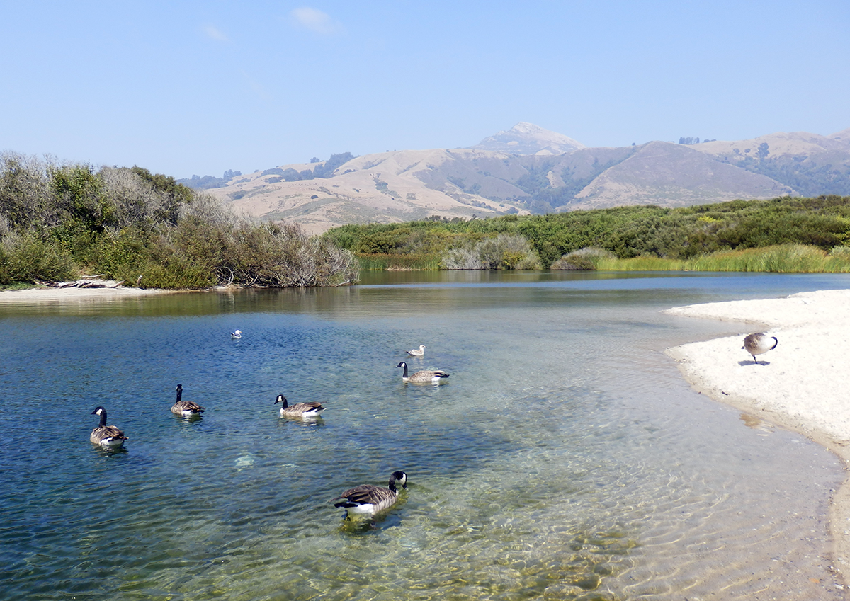 Andrew Molera State Park