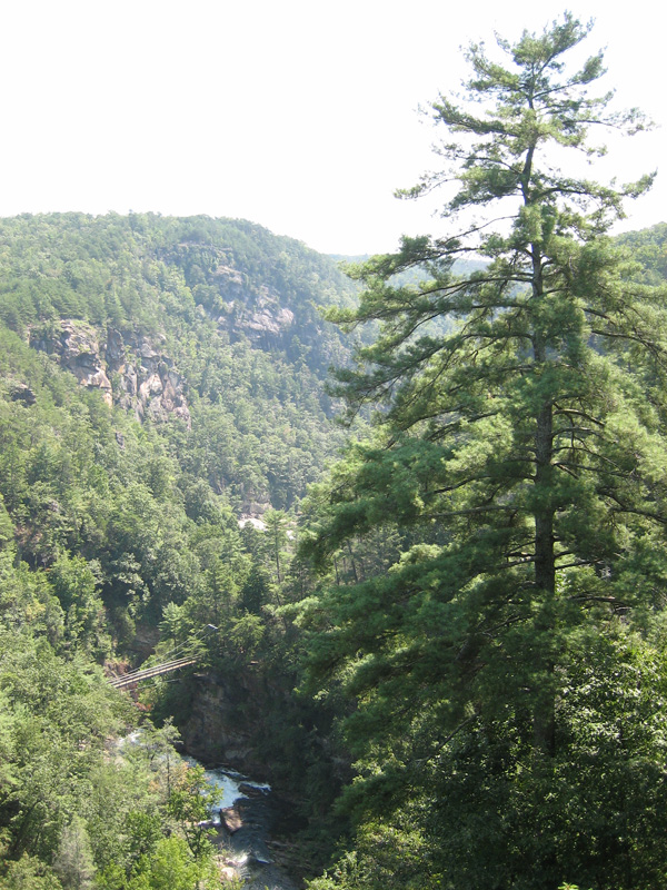 Tallulah Gorge