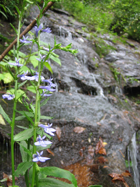 Black Rock Mountain State Park